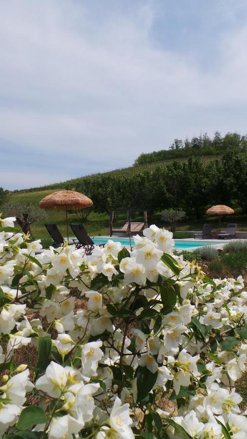Sotto La Vigna Charm Stay Adults Only Vacation Suite Montegrosso d'Asti ภายนอก รูปภาพ
