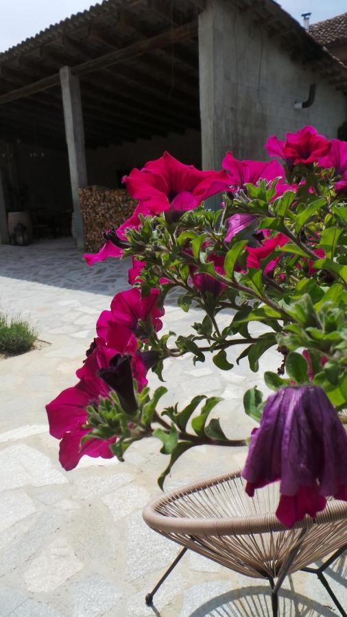 Sotto La Vigna Charm Stay Adults Only Vacation Suite Montegrosso d'Asti ภายนอก รูปภาพ